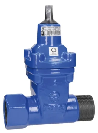 Talosulkuventtiili DURA DuraPush DN50 2" UK / 2" SK A4