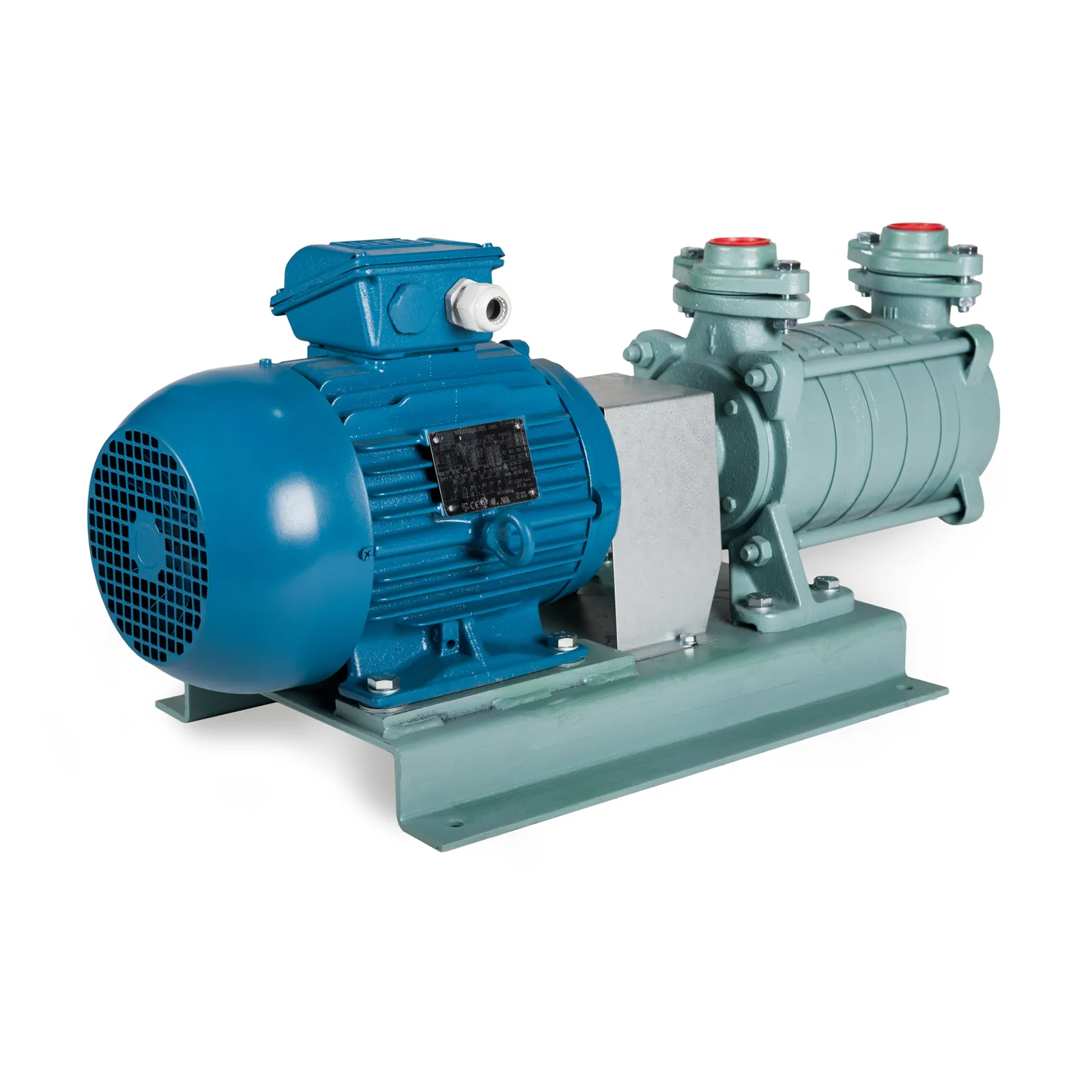 Vesirengaspumppu moottorilla RIVER PUMP ISKU ISKU 304/2.20KW/380V