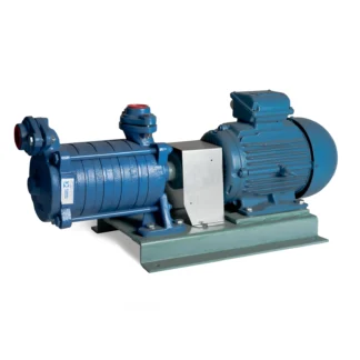 Vesirengaspumppu moottorilla RIVER PUMP ISKU ISKU 304/2.20KW/380V/VP