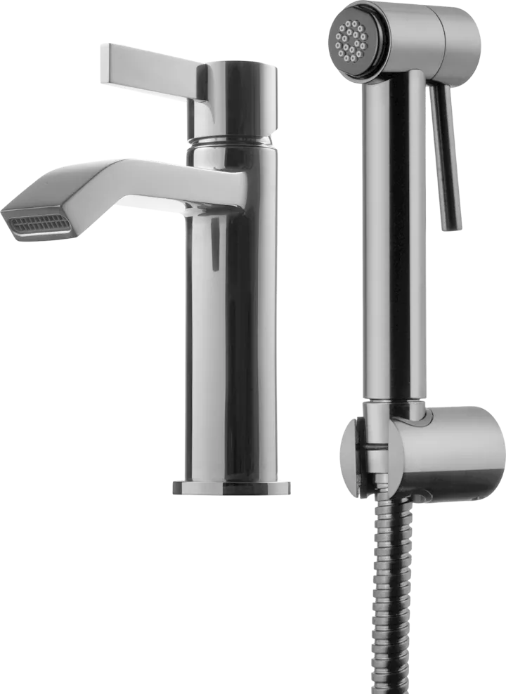 Pesuallashana TAPWELL ARM Metallisella käsisuihkulla