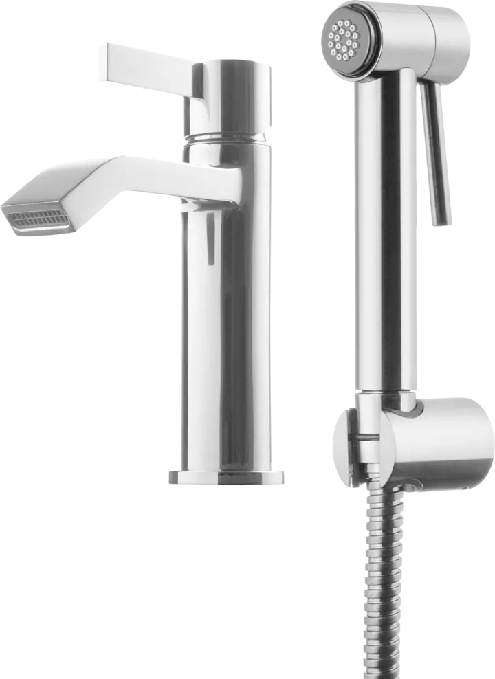 Pesuallashana TAPWELL ARM Metallisella käsisuihkulla