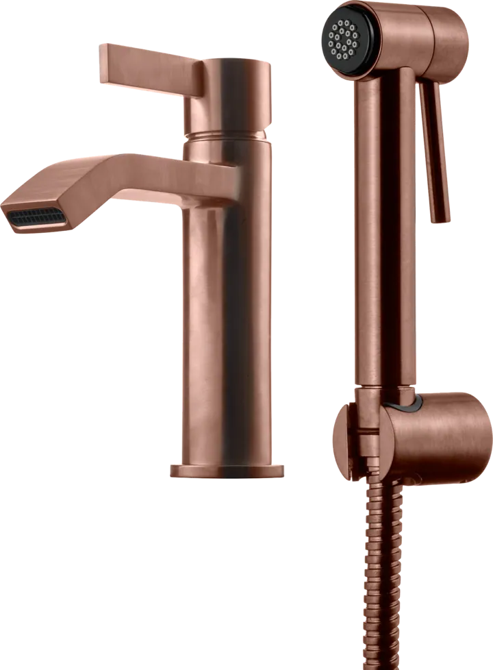 Pesuallashana TAPWELL ARM Metallisella käsisuihkulla